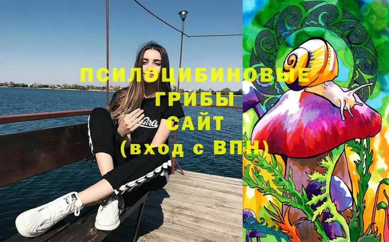 Галлюциногенные грибы Psilocybe  где купить   Октябрьский 